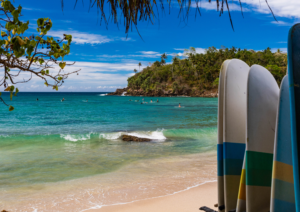 A row of colorful rental surfboards standing on the golden sand of the beach break, perfect for finding where to surf in Hiriketiya.